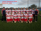 juniorfinal15a