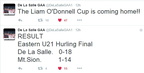 U-21 Hurling 2015